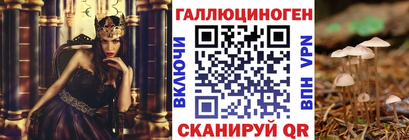 Псилоцибиновые грибы GOLDEN TEACHER где можно купить KRAKEN Волжск