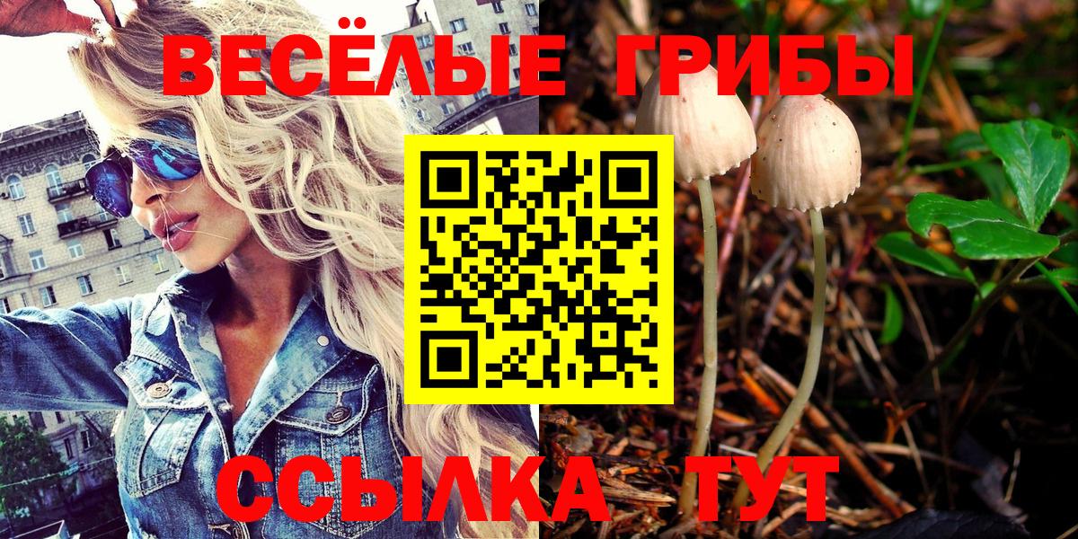 Галлюциногенные грибы MAGIC MUSHROOMS  Вход с VPN  Волжск  Галлюциногенные грибы прущие грибы 
