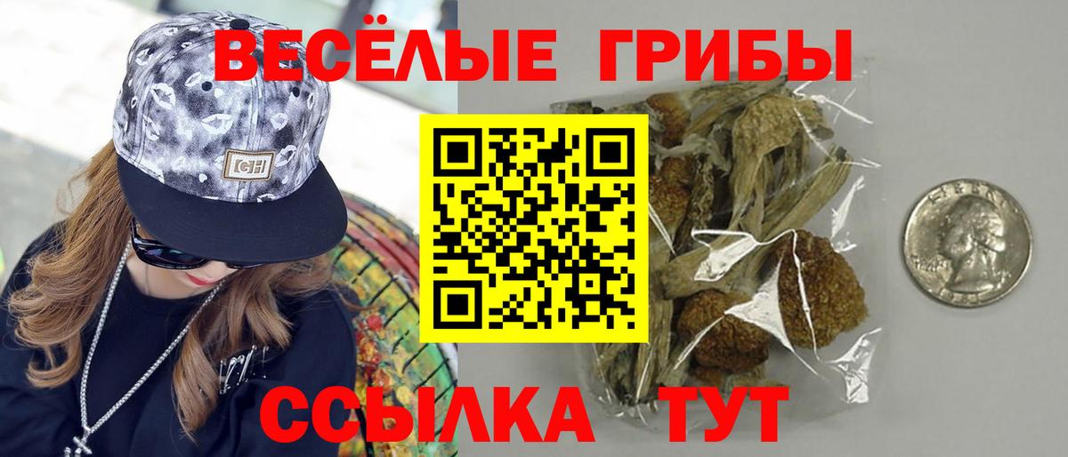 Псилоцибиновые грибы GOLDEN TEACHER Волжск